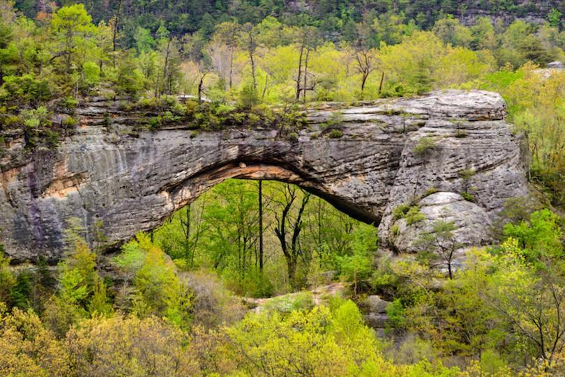 Big South Fork Trail Lodge Stearns Bagian luar foto